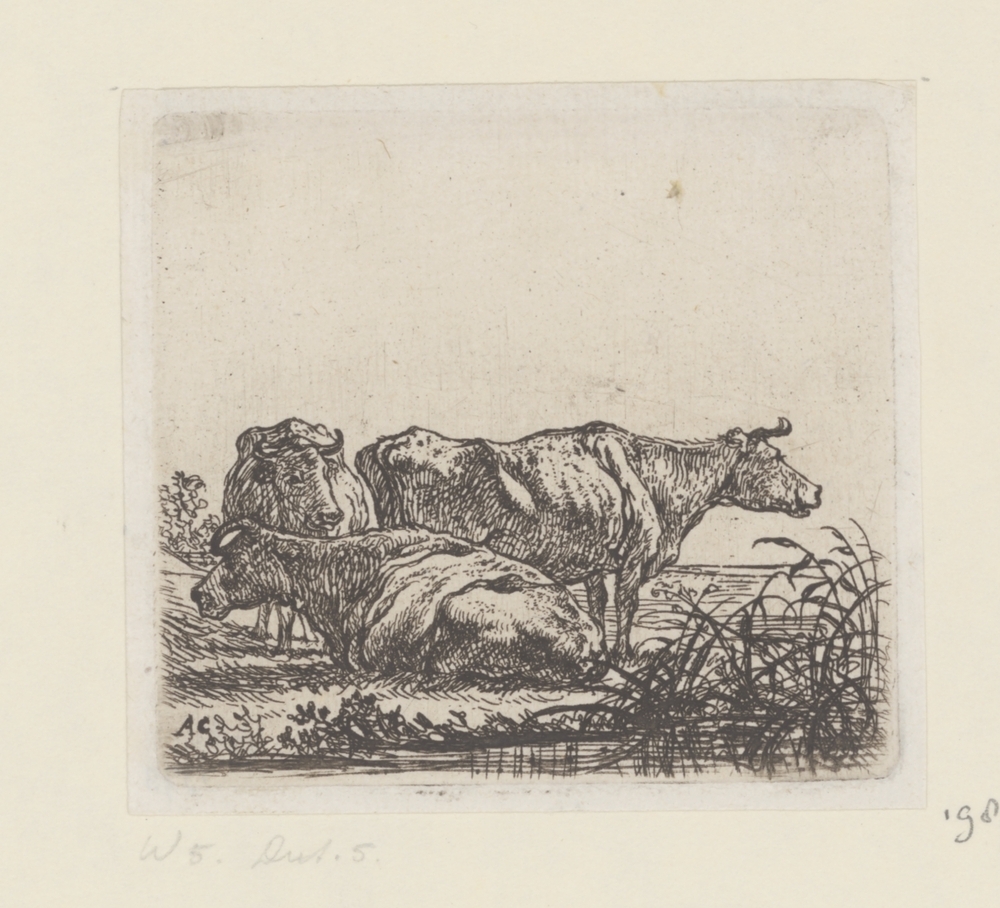 Drie koeien (serie: Koeien)