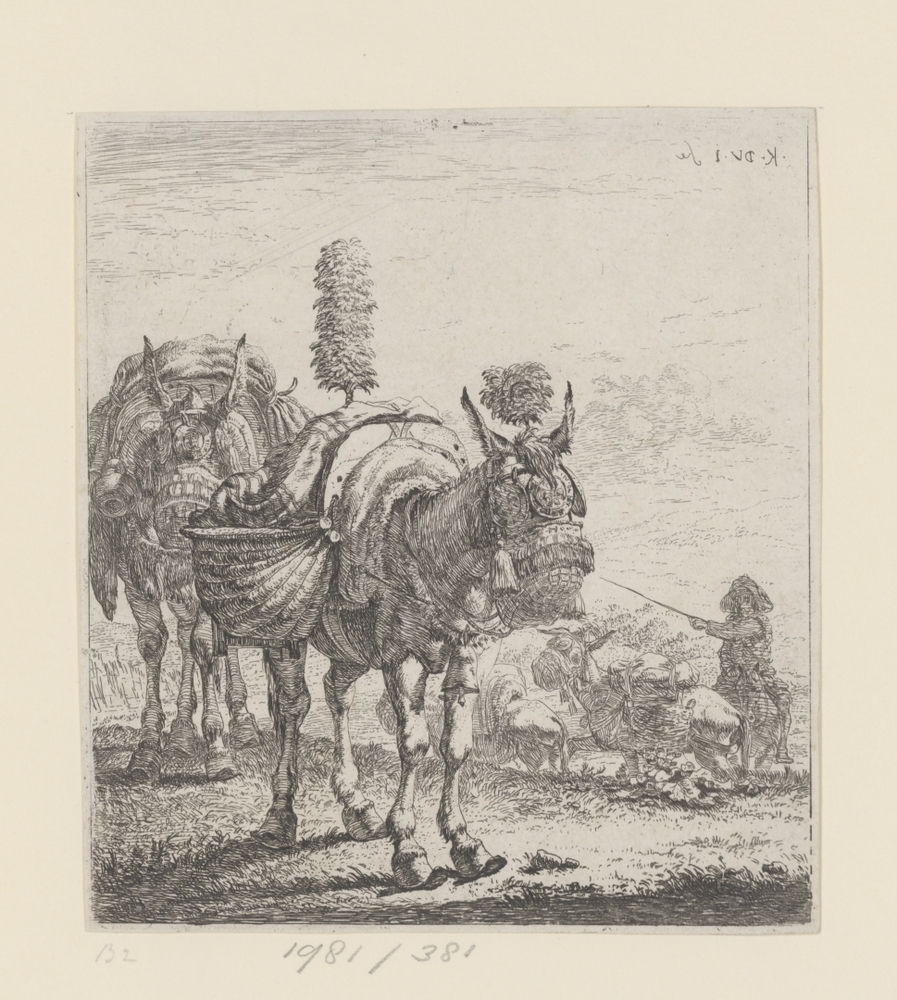 Twee muilezels (serie: Dieren)