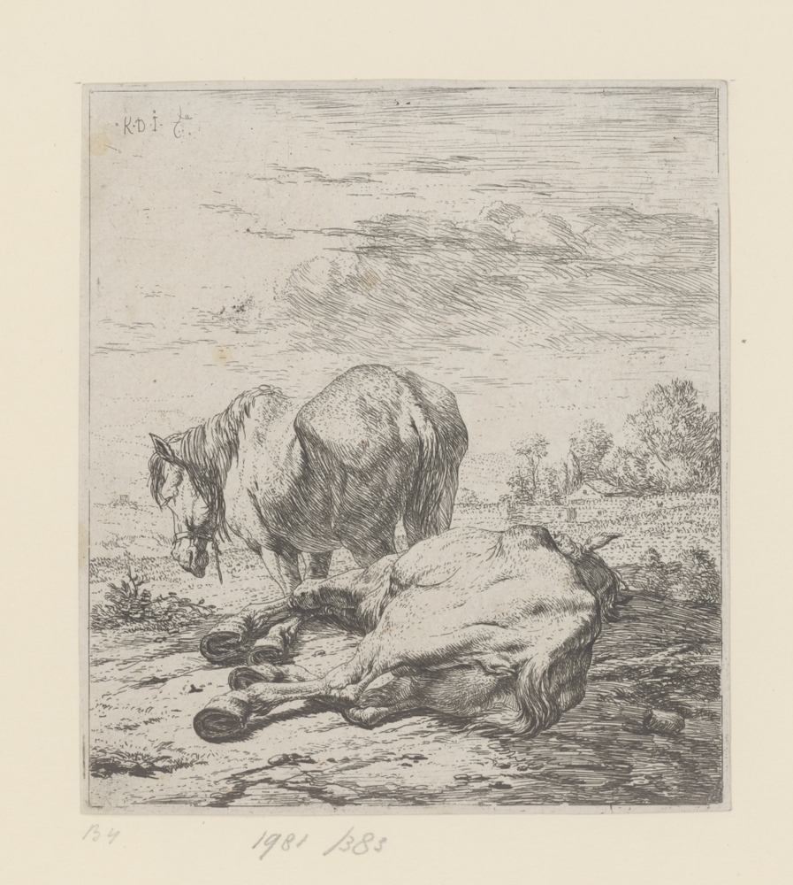 Twee paarden (serie: Dieren)