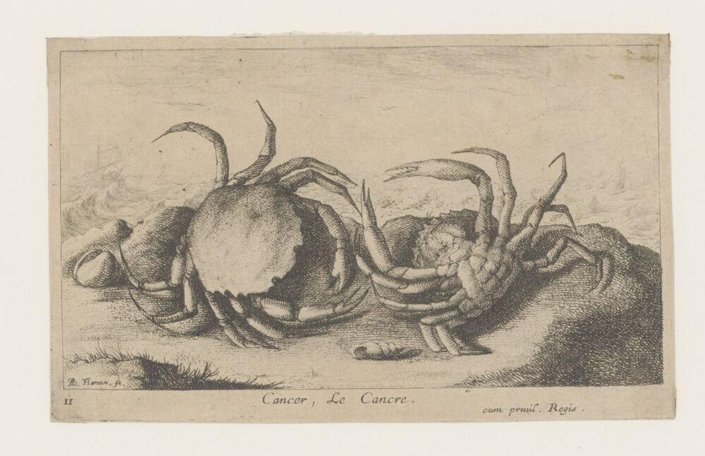 Twee krabben op het strand (serie: Vissen en andere zeedieren - zoutwater eerste reeks)