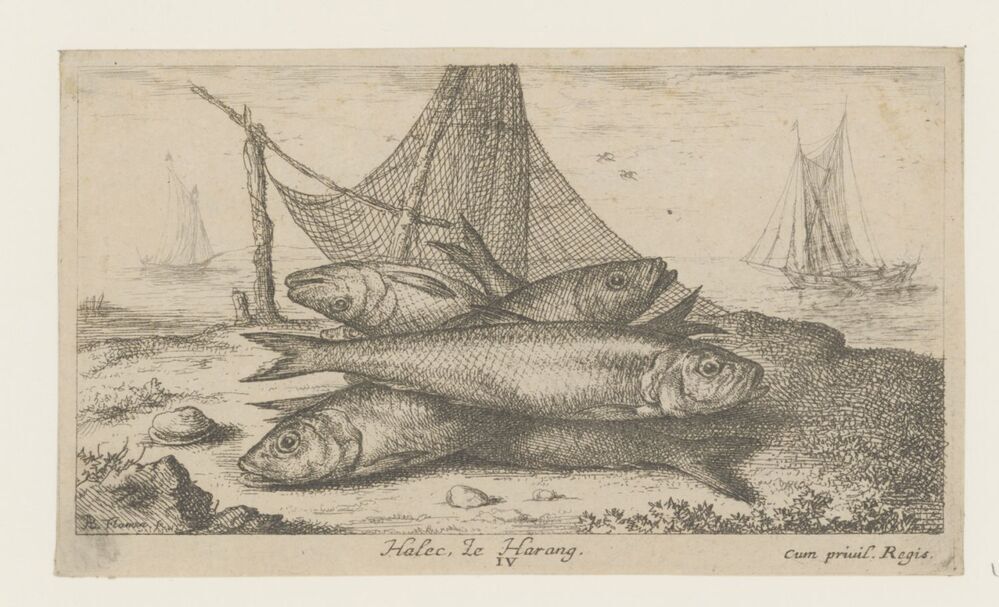 Haringen bij een visnet (serie: Vissen en andere zeedieren - zoutwater tweede reeks)