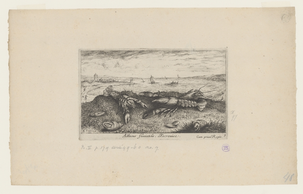 Rivierlandschap met rivierkreeften op de voorgrond (serie: Vissen en andere zeedieren - zoetwater tweede reeks)