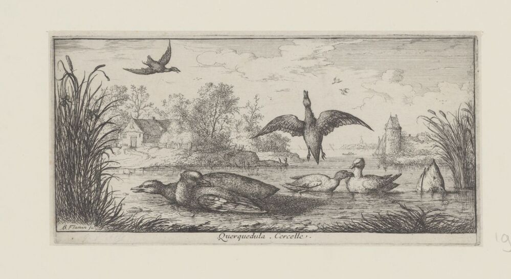 Landschap met wintertalingen (serie: Vogelboek)