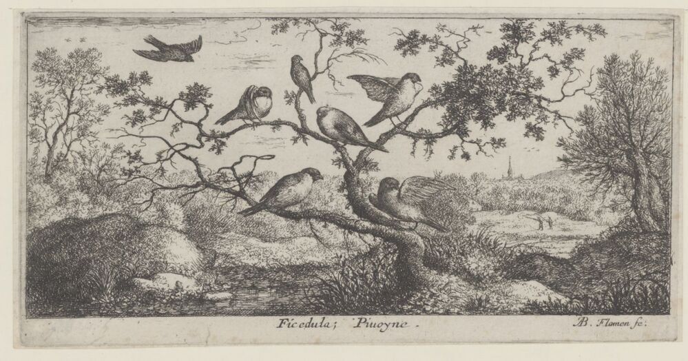 Landschap met vliegenvangers (serie: Vogelboek)