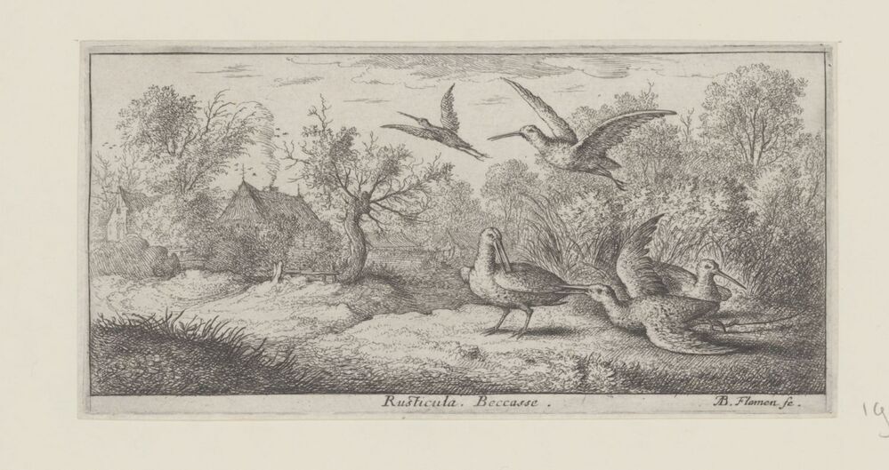 Landschap met houtsnippen (serie: Vogelboek)
