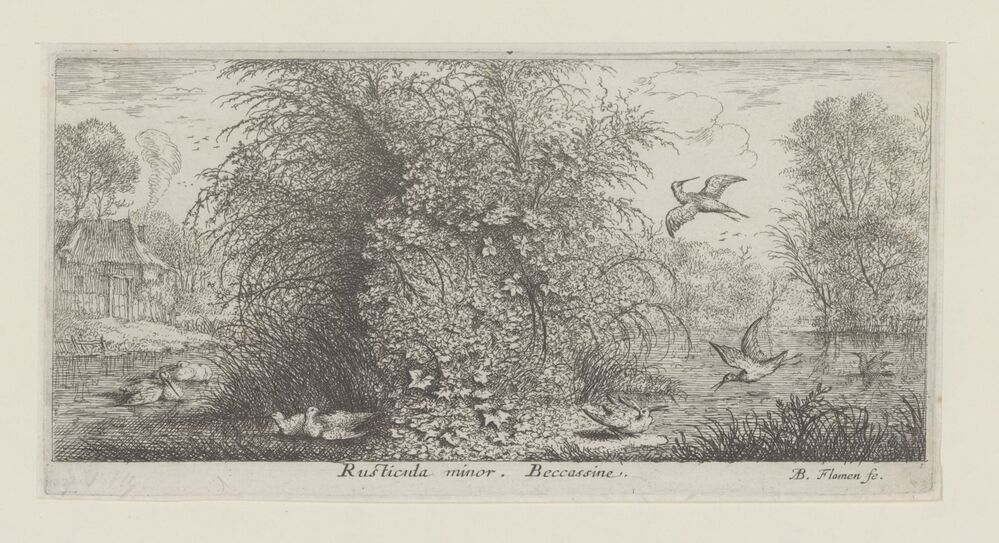 Landschap met watersnip (serie: Vogelboek)