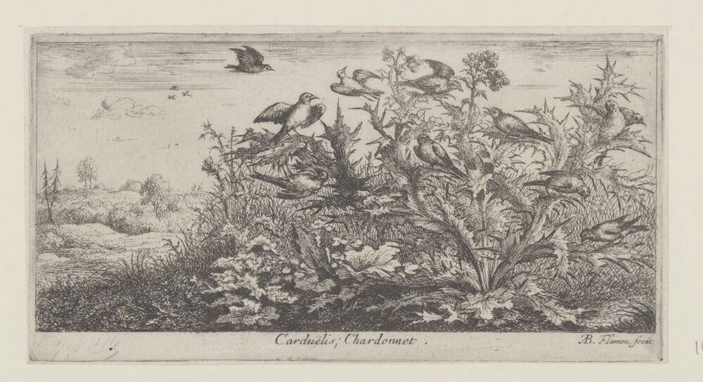 Landschap met putters in distel (serie: Vogelboek)