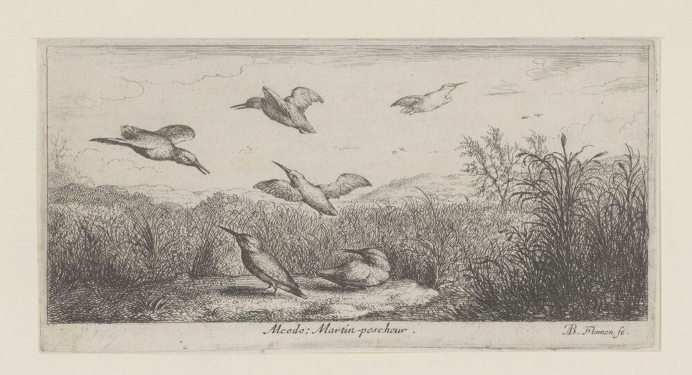 Landschap met ijsvogels (serie: Vogelboek)