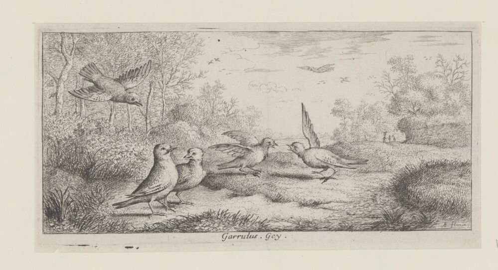Landschap met vlaamse gaaien (serie: Vogelboek)