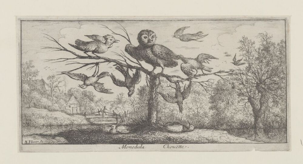 Landschap met uil tussen andere vogels (serie: Vogelboek)