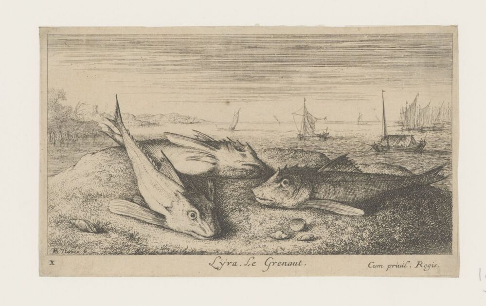 Drie ponen op het strand