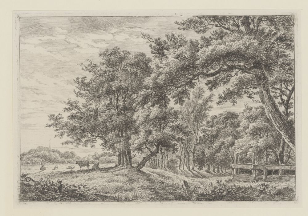 Landschap met twee koeien