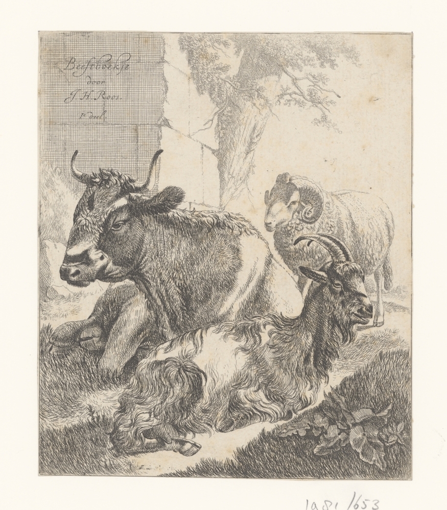 Liggende koe, geit en staande ram (serie: Beestenboekje, deel I)