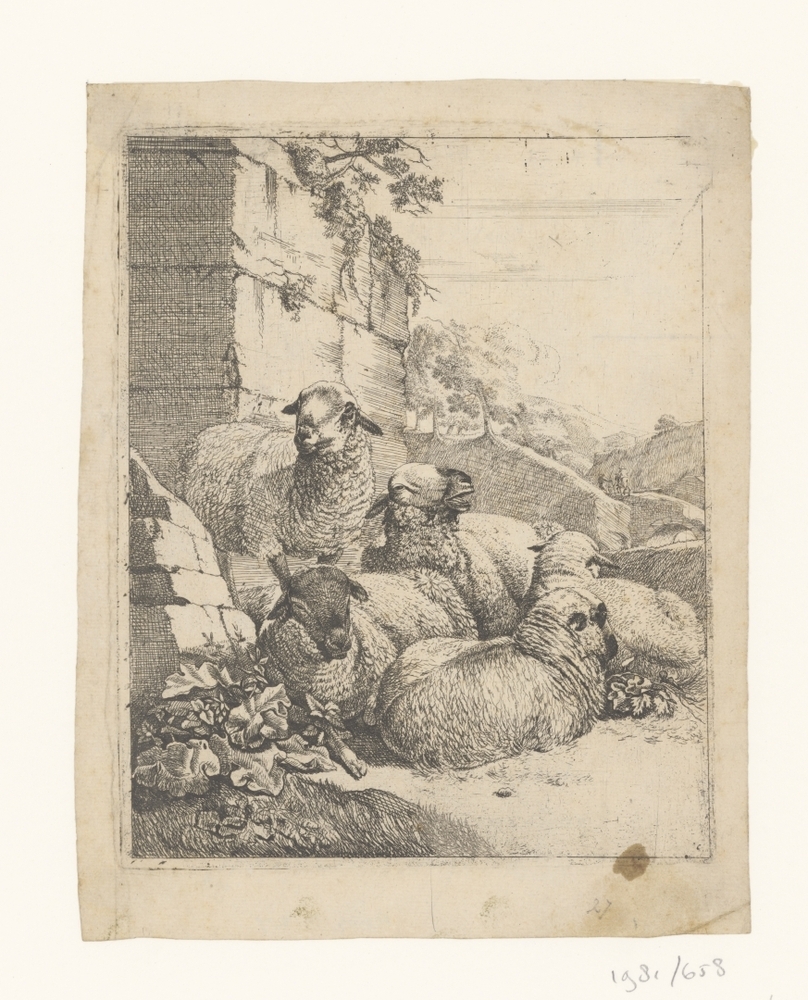 Vier liggende en een staand schaap (serie Beestenboekje )