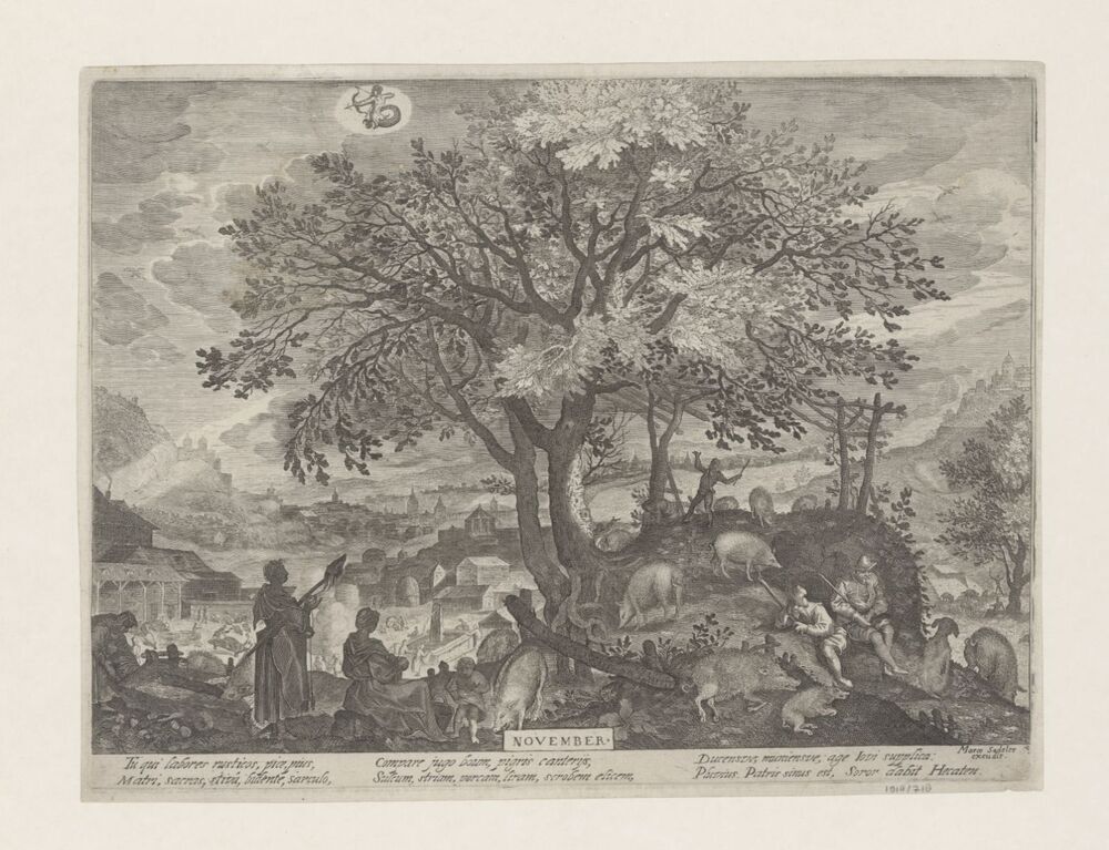 November (serie: De twaalf maanden)