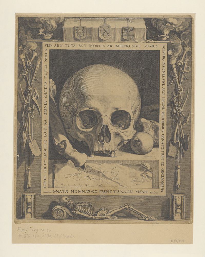 Vanitasstilleven met doodskop