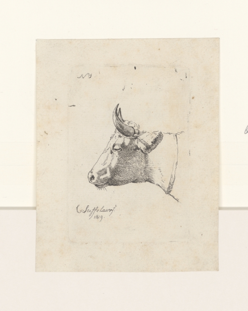 Kop van een koe naar links