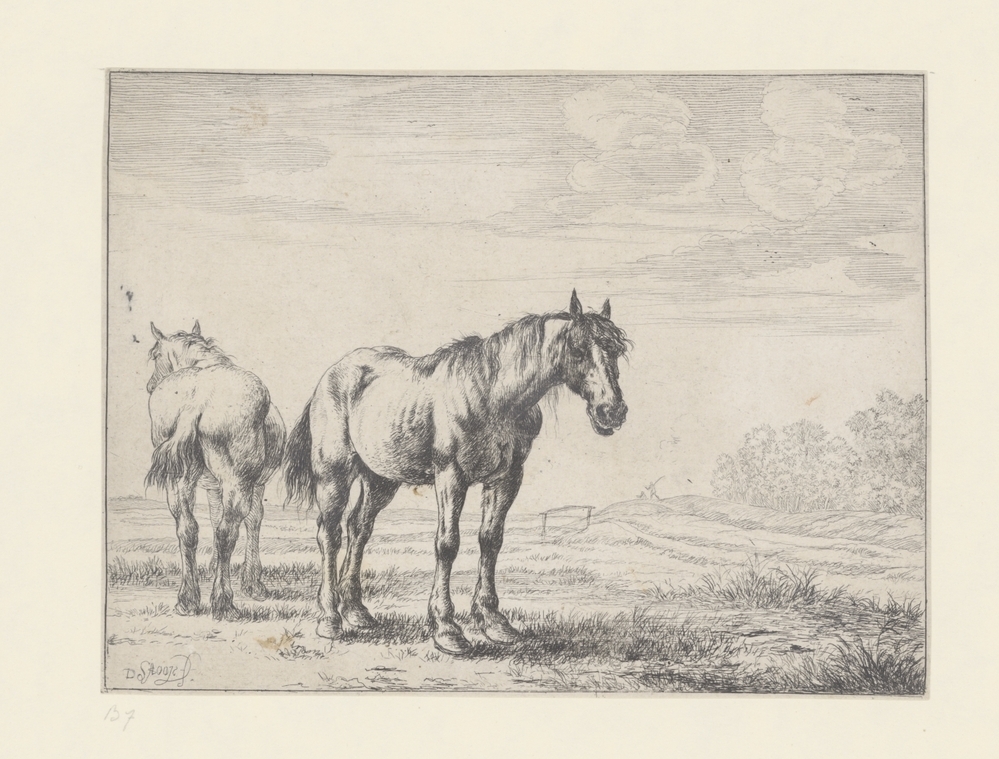 Twee paarden in een landschap