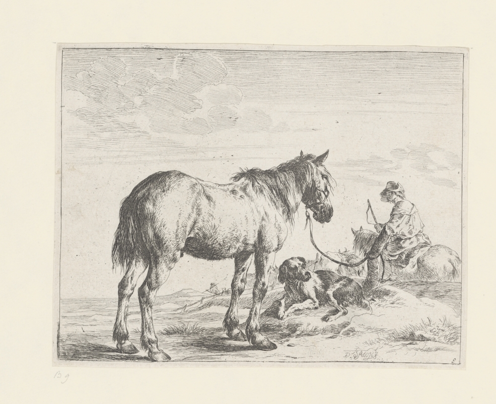 Paarden, ruiter en hond (serie: Paarden)