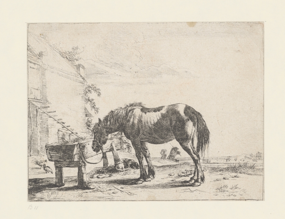 Aan een voederbak vastgebonden paard (serie: Paarden)