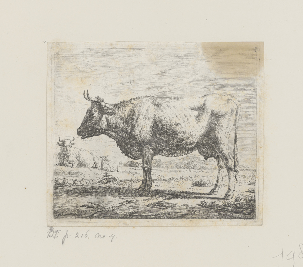 Twee koeien en een schaap (uit de serie:Dieren)