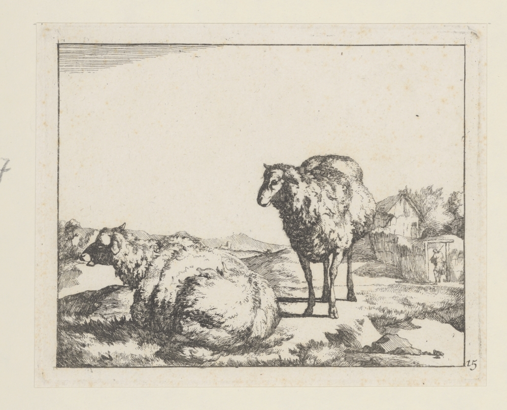 Liggend en staand schaap (uit serie)