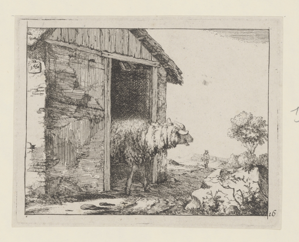 Liggend en staand schaap (uit serie)