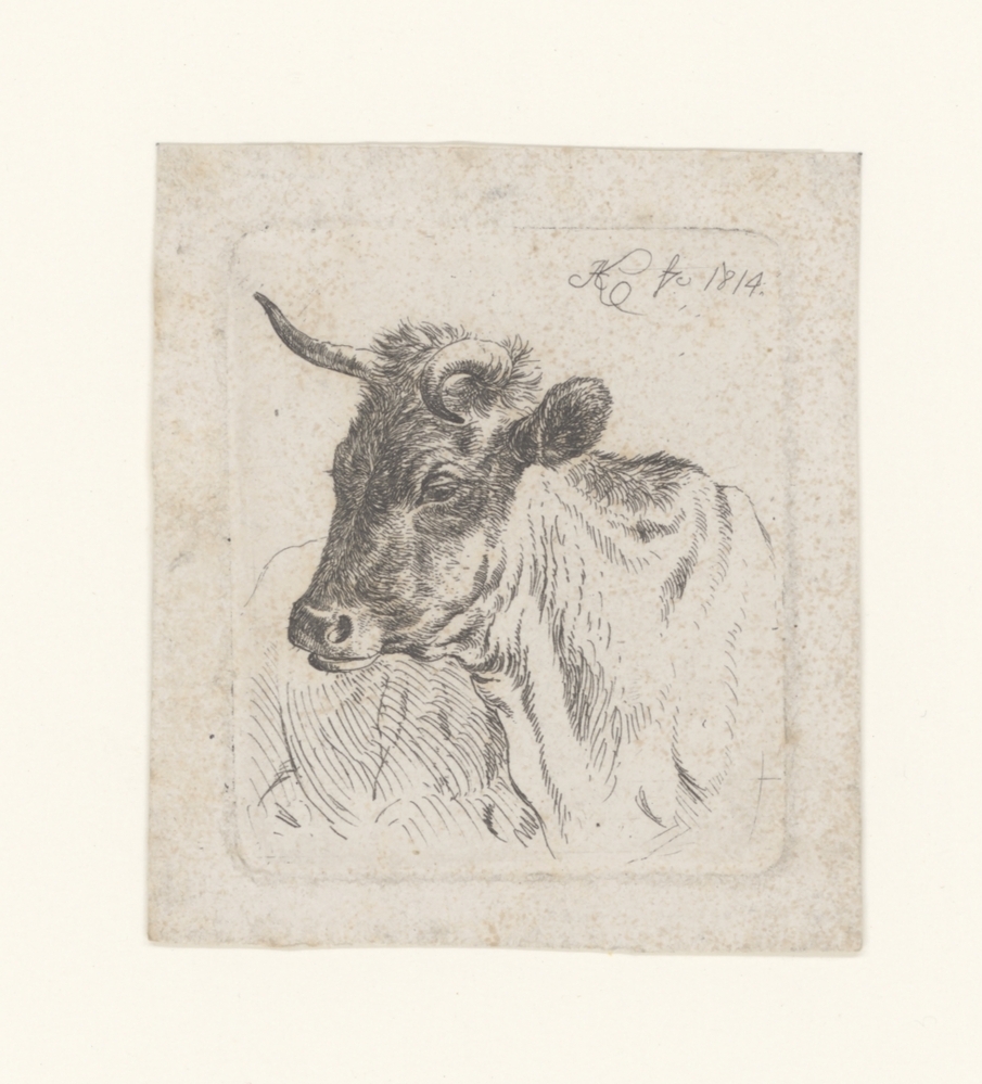 Koe (uit de serie: Etudes d'animaux)