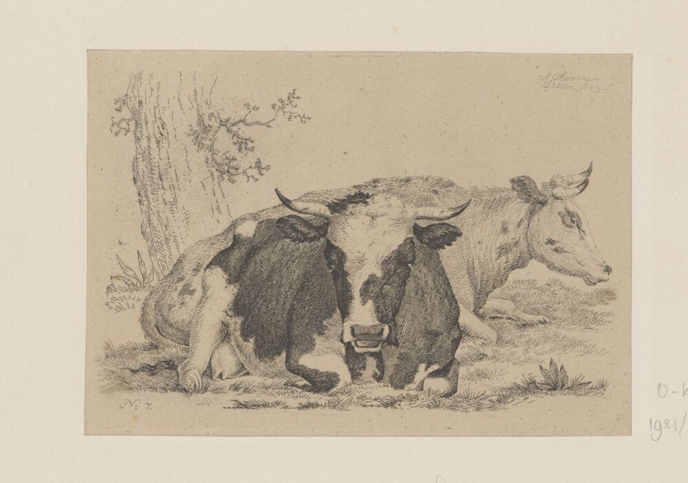 Twee koeien (uit serie)