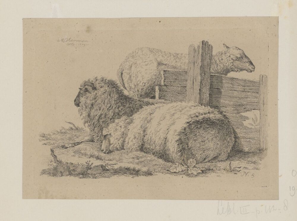 Twee schapen en een ram (uit serie)