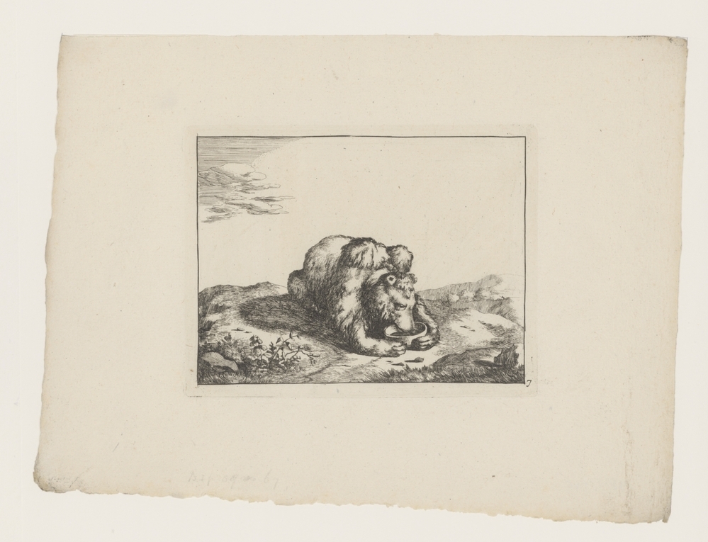 Drinkend beertje (uit de serie: De beren)