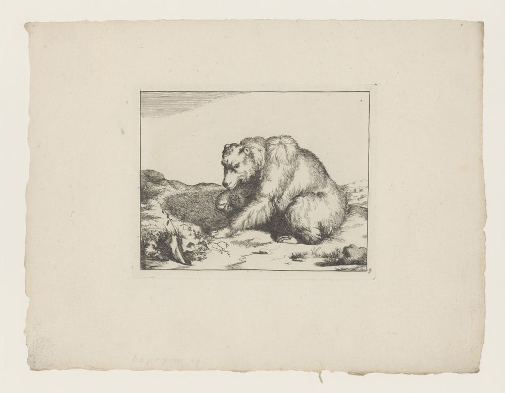 Zittende beer (uit de serie: De beren)