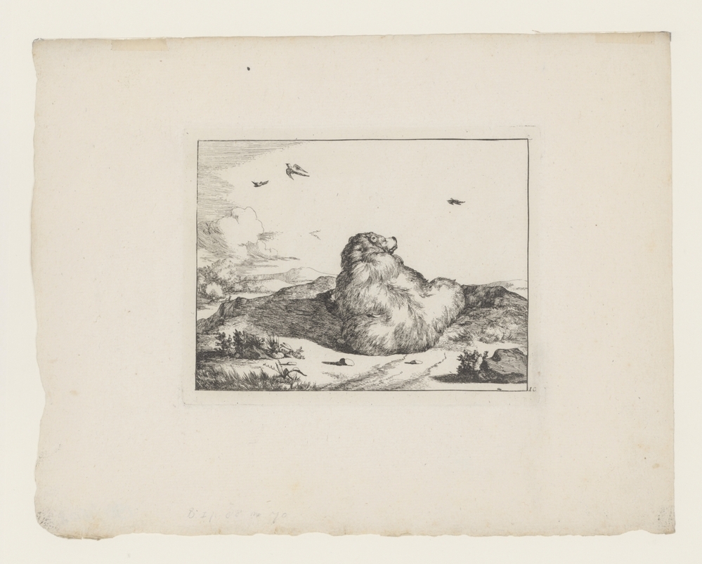 Liggende beer (uit de serie: De beren)