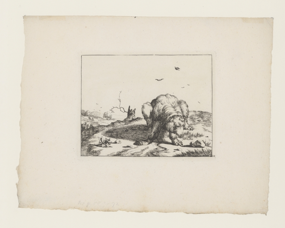 Beer (uit de serie: De beren)