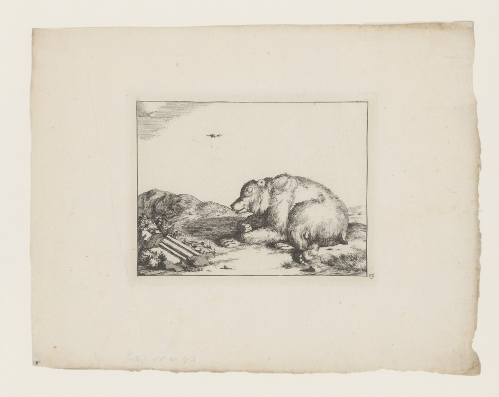 Beer en vogeltje (uit de serie: De beren)