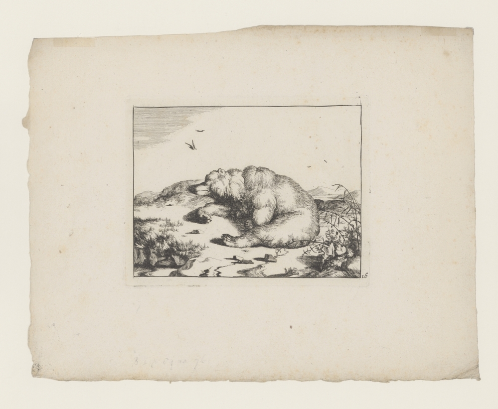 Slapend beertje (uit de serie: De beren)