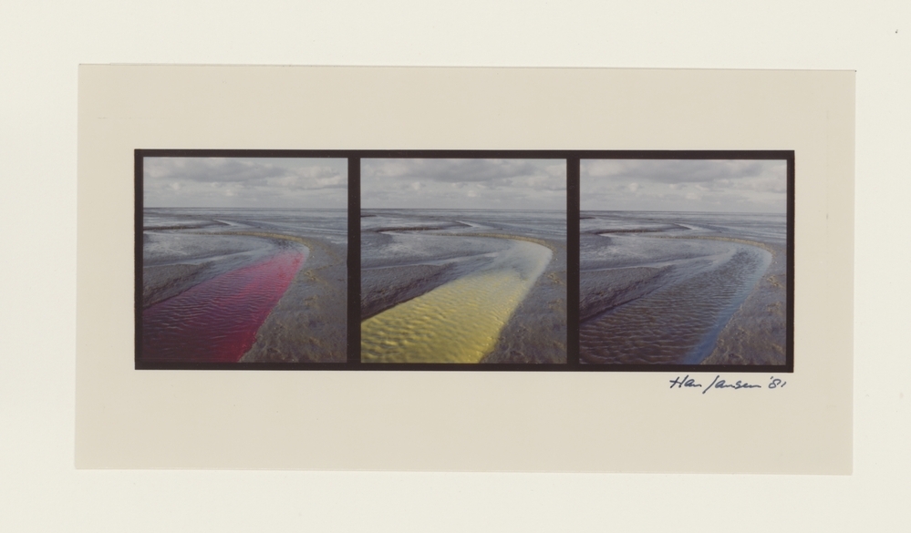 Waddenproject: nieuwjaarswens