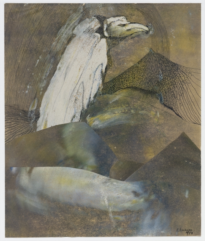 Roofvogel in berglandschap