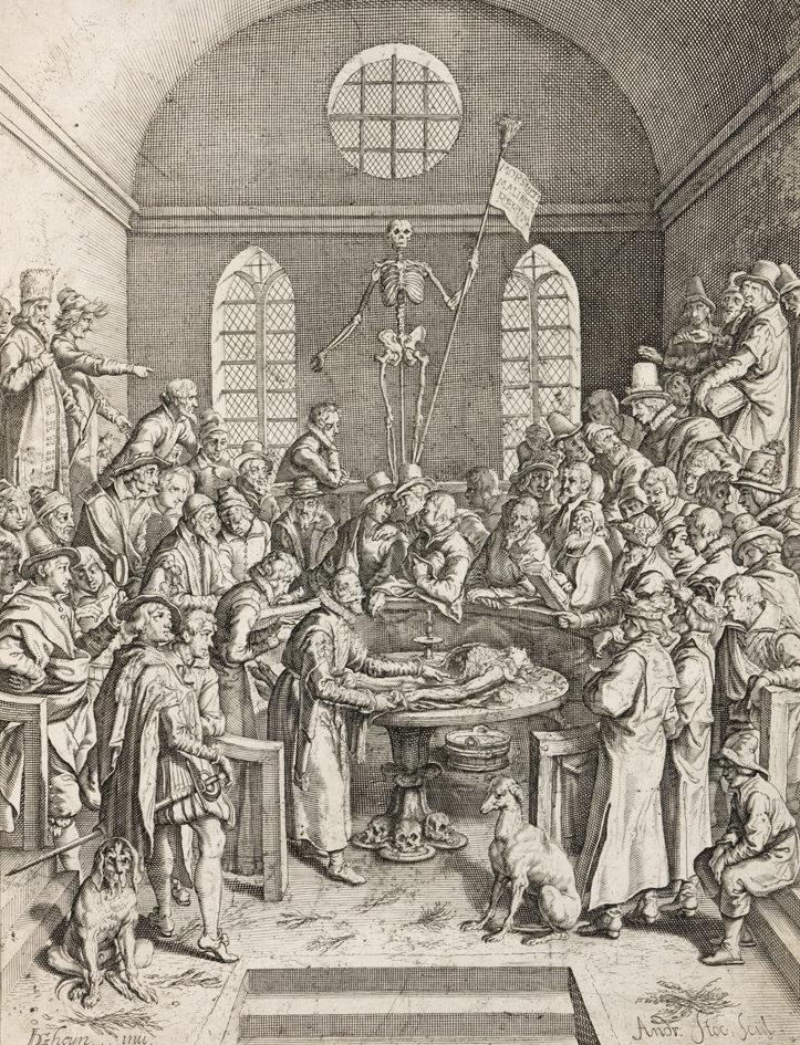 Anatomische les van Pieter Paaw