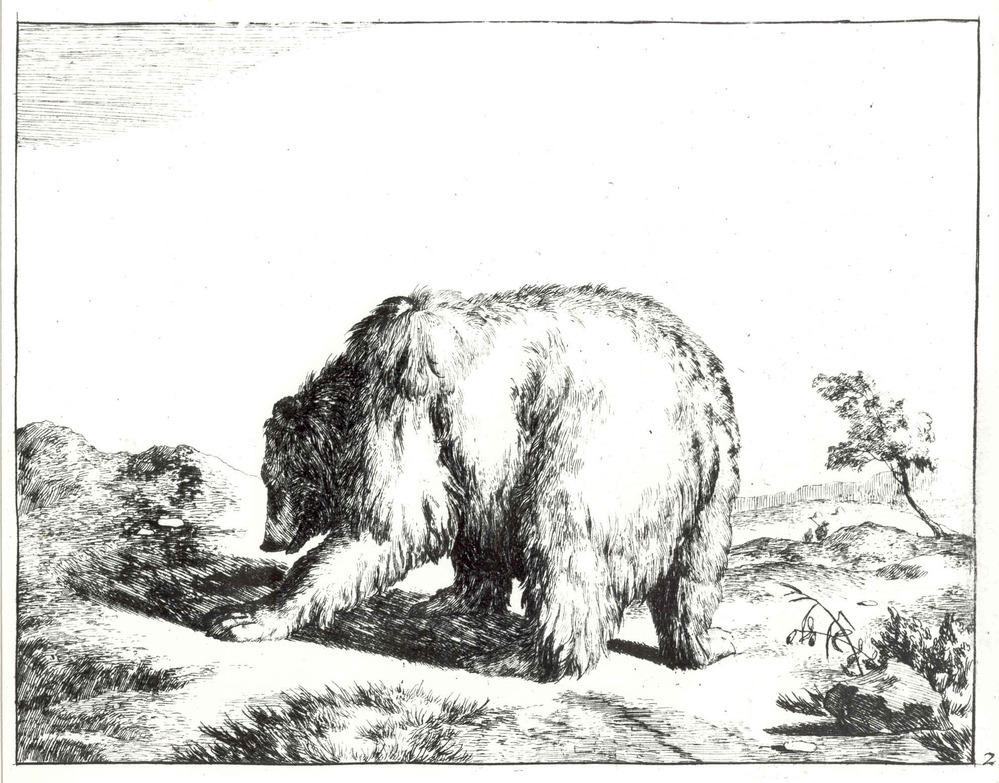 Beertje (uit de serie: De beren)