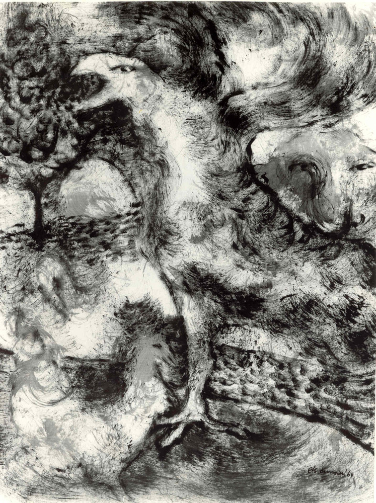 Twee hanen in ochtendlandschap