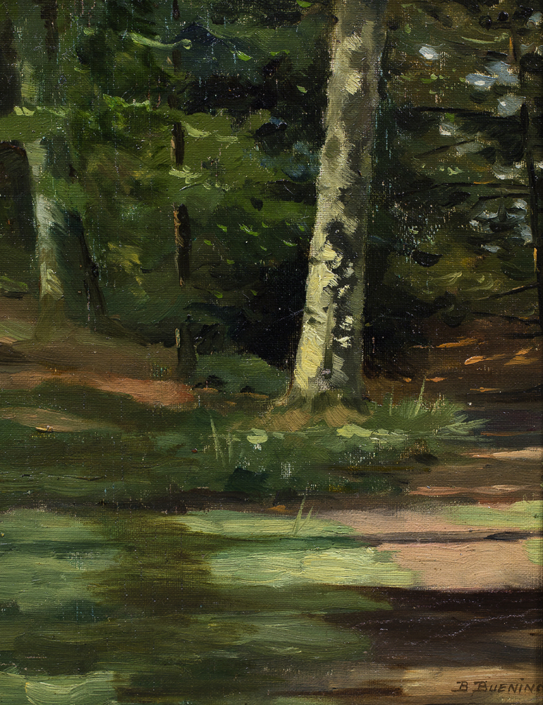 Zonder titel (Bosgezicht)