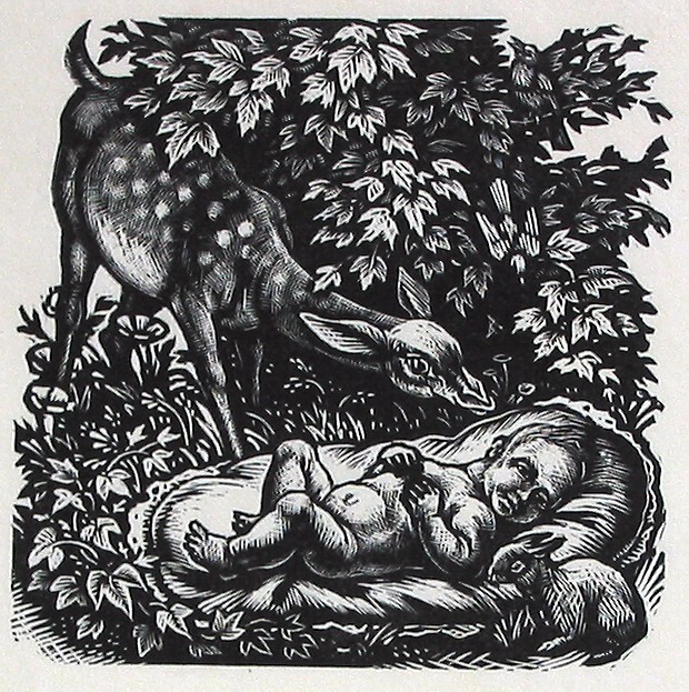 Geboortekaart Elize Anna Margaretha Loeff