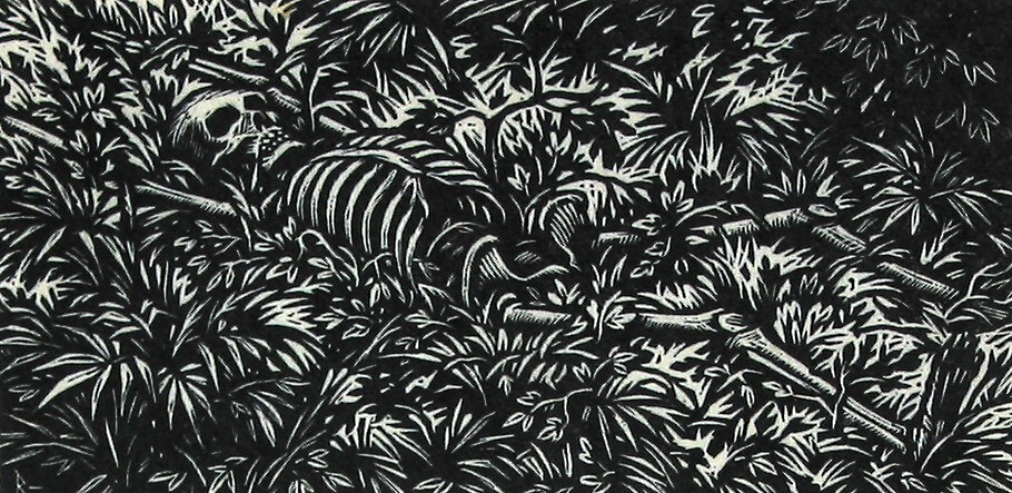 Een menschelijk geraamte