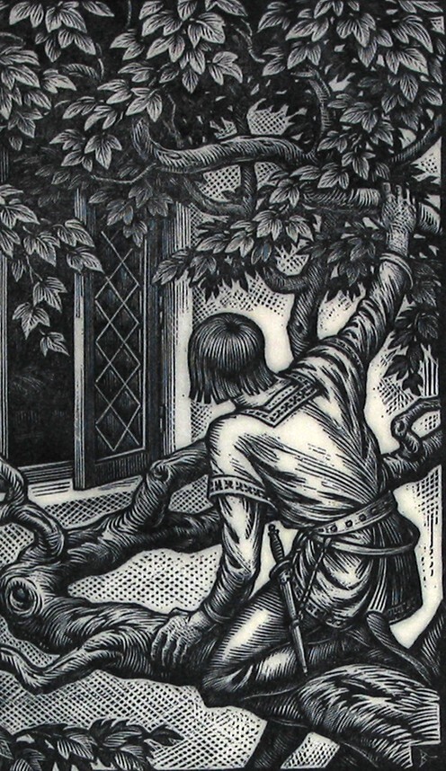 De edelman klom in de boom