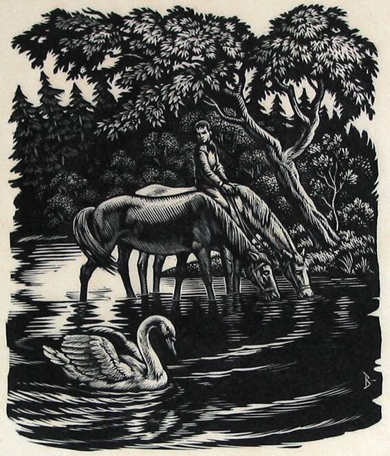 De jongen en de zwaan bij de drinkplaats