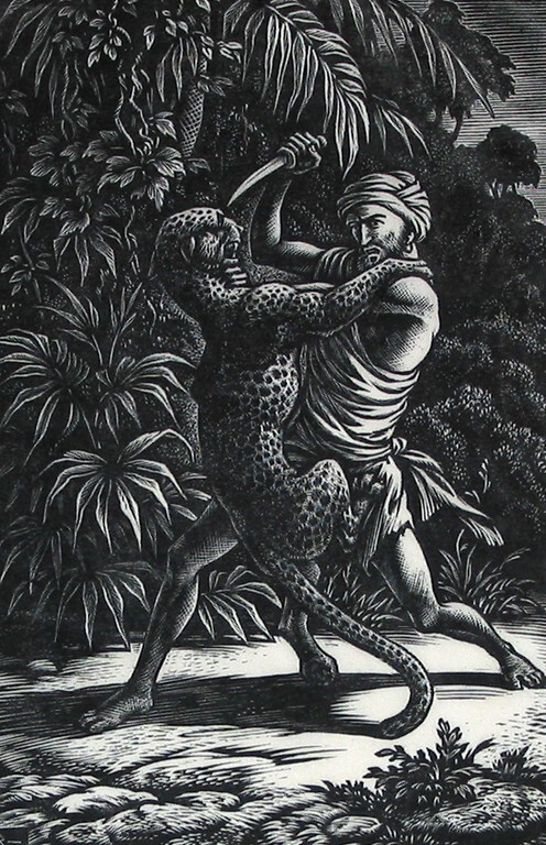 Toelja in gevecht met de luipaard