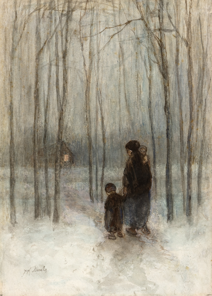 Avondstemming in het bos