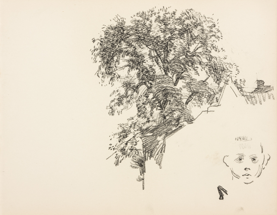 Boomstudie, jongenskop (uit: Zeventien schetsboekbladen Enkhuizen)