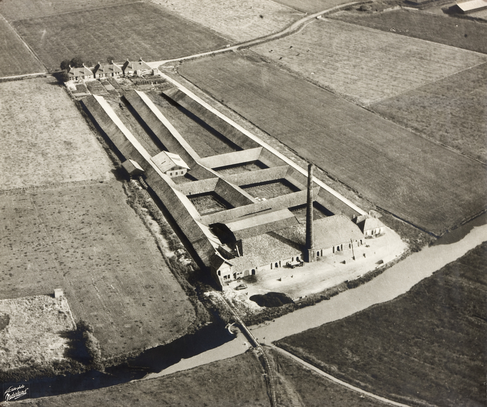 Studies voor gebruiksdrukwerk